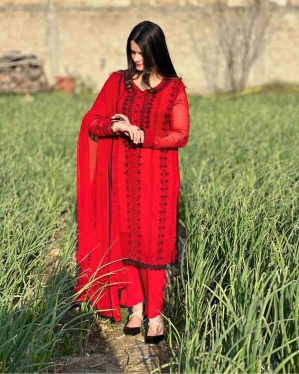 Multani Hand embroidered dresses - Image 9