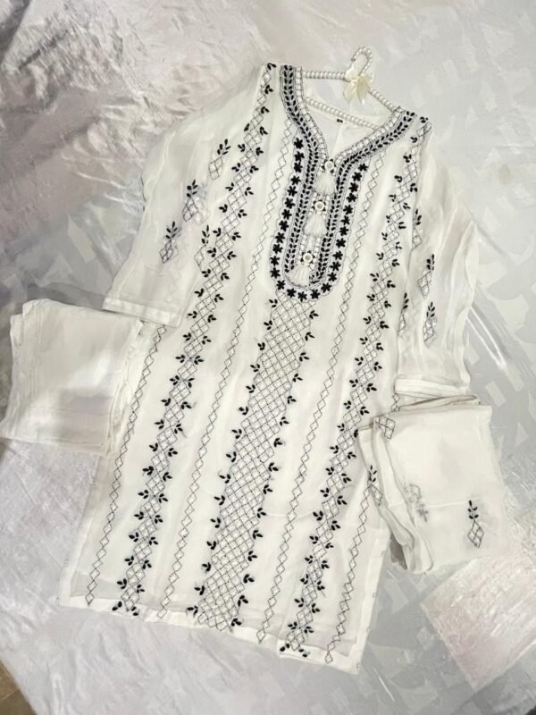 Hand embroidered chiffon Ready to wear - Image 10