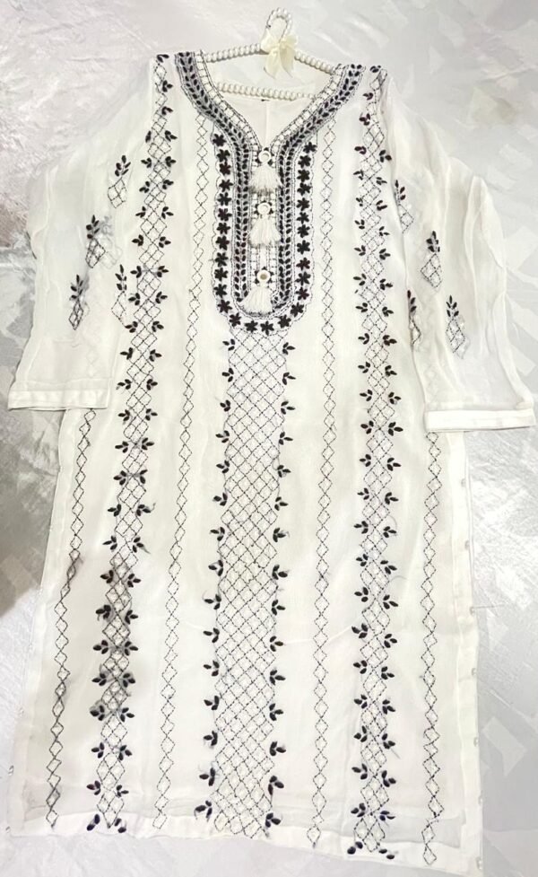 Hand embroidered chiffon Ready to wear - Image 3