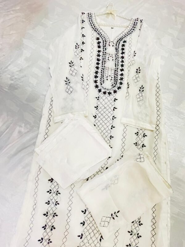 Hand embroidered chiffon Ready to wear - Image 4