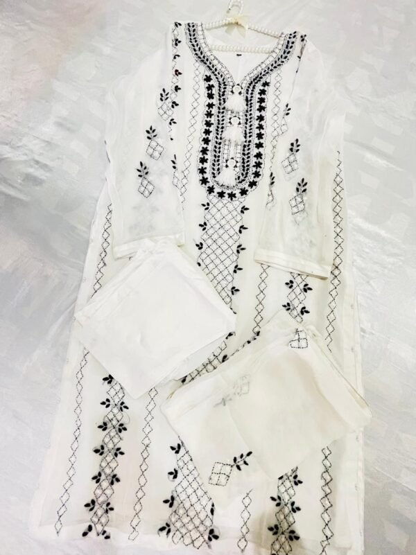 Hand embroidered chiffon Ready to wear - Image 5