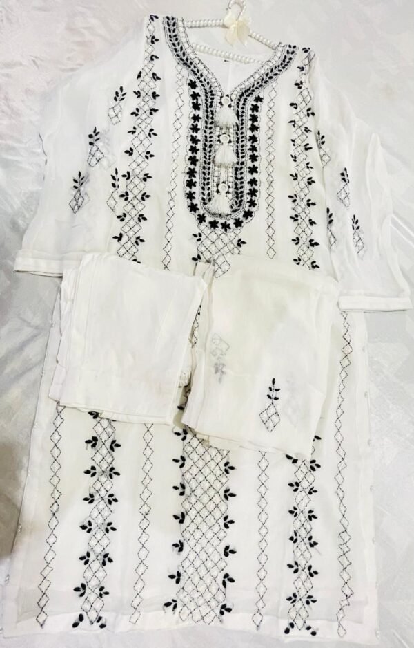 Hand embroidered chiffon Ready to wear - Image 9