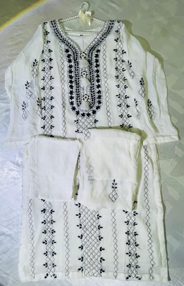 Hand embroidered chiffon Ready to wear - Image 8