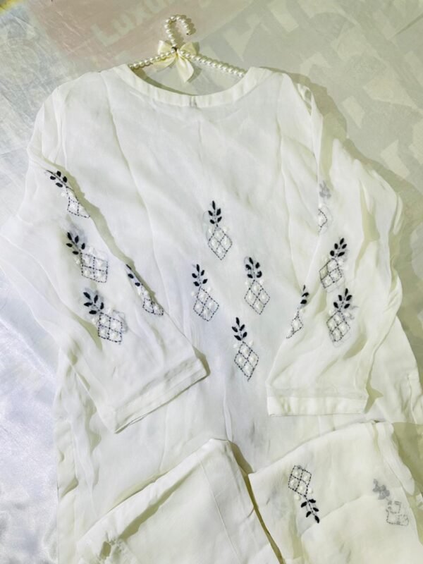 Hand embroidered chiffon Ready to wear - Image 7